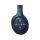 Sony WH-XB900N Niebieskie ANC - 540150 - zdjęcie 5